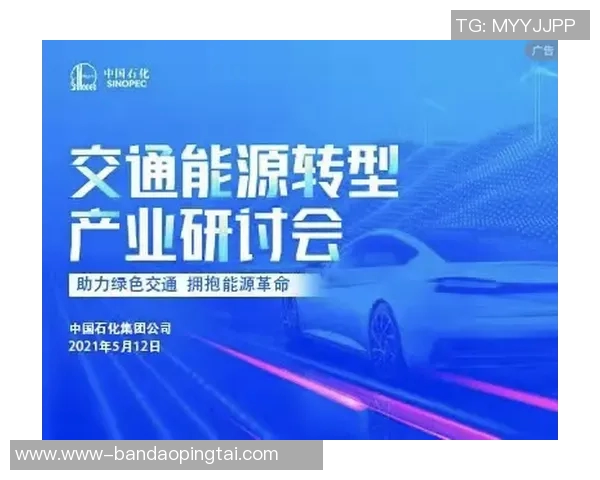 实时新闻深圳飞盘队灵活性分析与战术创新的深度探讨